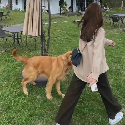 奇怪的婚姻