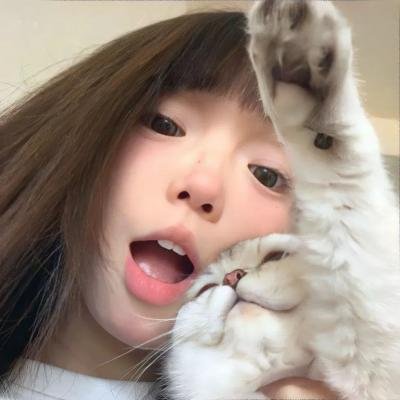 虎尾兰之梦